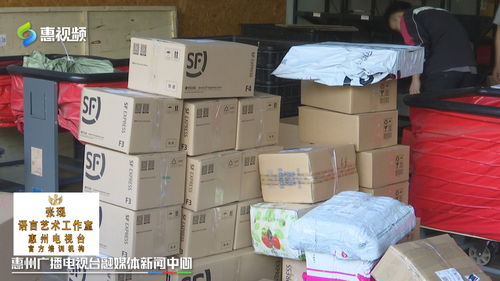 雙十一惠州網友熱衷“血拼”食品，快遞公司迎來攬件高峰